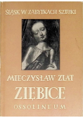 Ziębice