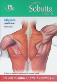 Anatomia Sobotta Flashcards. Mięśnie. Polskie mianownictwo anatomiczne