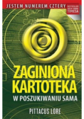 Zaginiona kartoteka W poszukiwaniu Sama