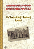 W ludzkiej i leśnej kniei