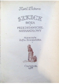 Szkice Boza i przedstawiciel niehandlowy