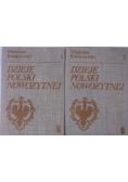 Dzieje polski nowożytnej Tom I i II