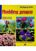 Rośliny Pnące