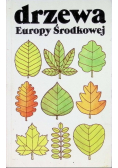 Drzewa Europy Środkowej