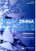 Zimna Siła