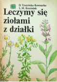 Leczymy się ziołami z działki