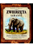 Zwierzęta sawanny