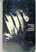 Życie codzienne w Pompejach
