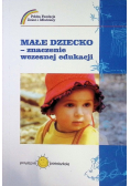 Małe dziecko znaczenie wczesnej edukacji