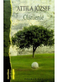 Olśnienie