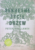 Sekretne życie drzew