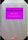 Kamień na Kamieniu