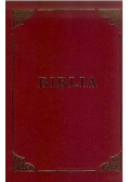 Biblia. Pismo Święte Starego i Nowego Testamentu