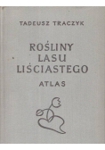 Rośliny lasu liściastego. Atlas
