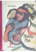 Błękitny Ptak