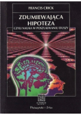 Zdumiewająca hipoteza