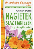 Nagietek ślaz i mniszek trzy niezwykłe kwiaty