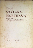 Szklana hortensja