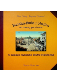 Bielsko Biała i okolice na dawnej pocztówce w czasach monarchii austro wegierskiej