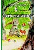 Opowieści z wiecznie zielonego lasu