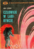 Człowiek w labiryncie