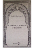 Cywilizacja arabska w Hiszpanii