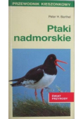 Ptaki nadmorskie