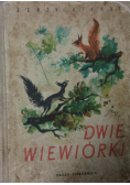 Dwie wiewiórki