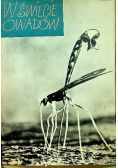 W świecie owadów