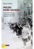 Polski Dziki Zachód Przymusowe migracje i kulturowe oswajanie Nadodrza 1945-1948