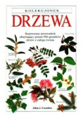 Drzewa
