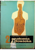 Anatomia człowieka Tom II