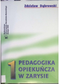 Pedagogika Opiekuńcza w zarysie Tom 1