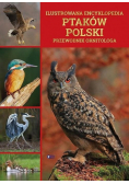 Ilustrowana encyklopedia ptaków Polski