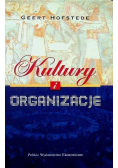 Kultury i organizacje