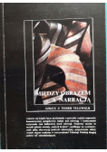 Między obrazem a narracją