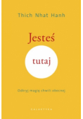 Jesteś tutaj