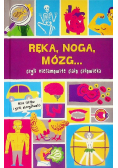 Ręka, noga, mózg