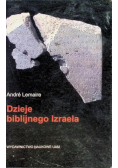 Dzieje biblijnego Izraela