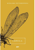 Chwila