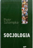 Socjologia Analiza społeczeństwa