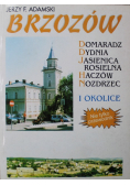 Brzozów i okolice
