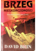 Brzeg nieskończoności