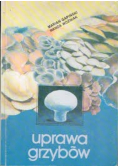Uprawa grzybów