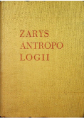 Zarys antropologii
