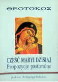 Cześć Maryi dzisiaj propozycje pastoralne
