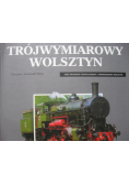 Trójwymiarowy Wolsztyn