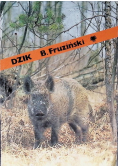 Dzik