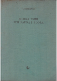 Morza ZSRR ich fauna i flora