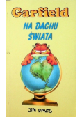 Garfield na dachu świata
